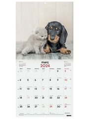 Calendario pared Finocam 30X30 2024 Perros Y Gato cat