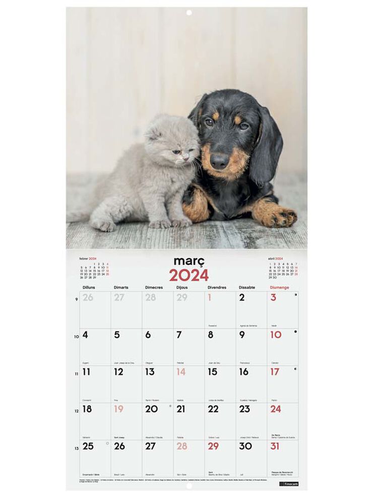 Calendari paret Finocam 30X30 2024 Gossos I Gats cat
