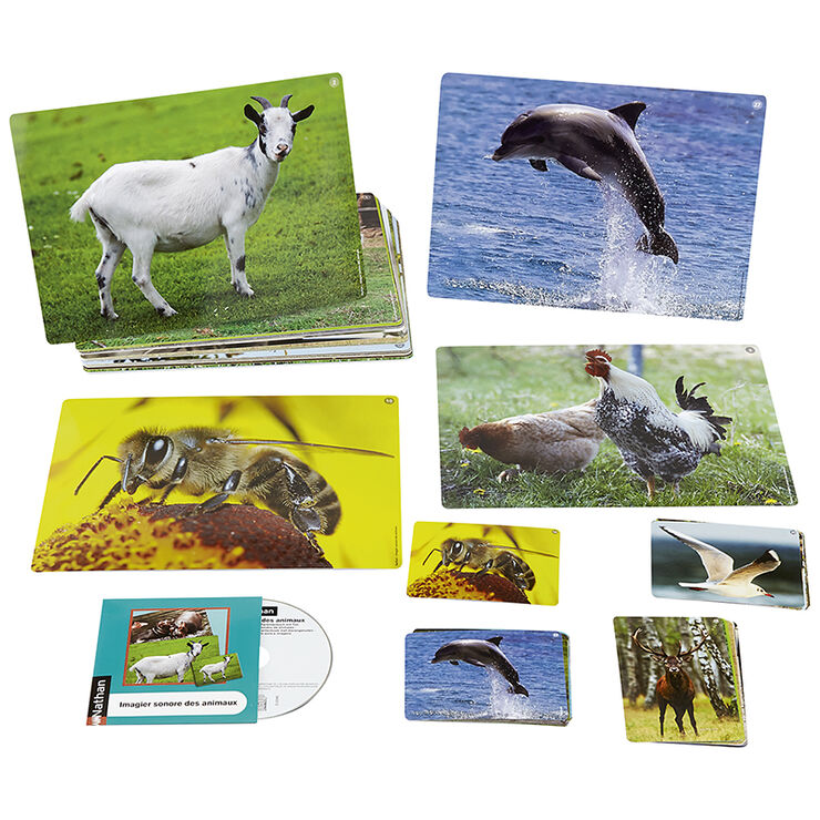 Imatges i sons: els animals