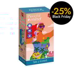 Pieceful Mind - Take a Moment