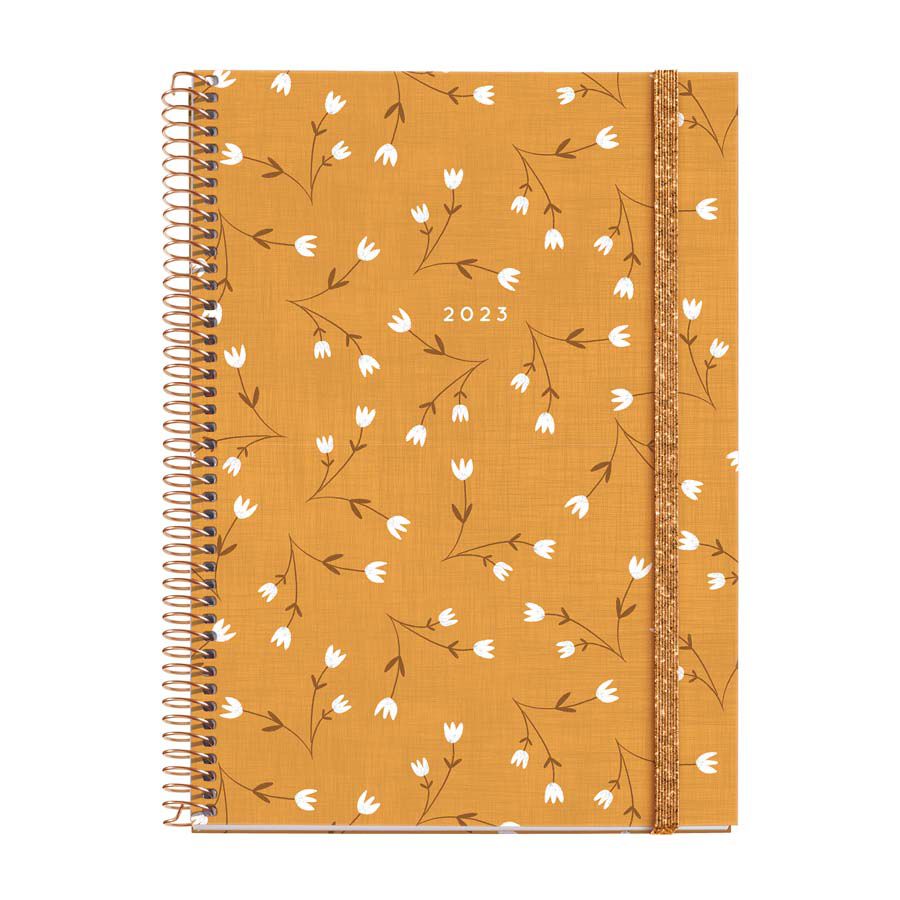 Agenda 23 MR Plus S/V Cat Sweet Amsterdam