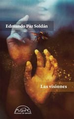 Las visiones Las visiones