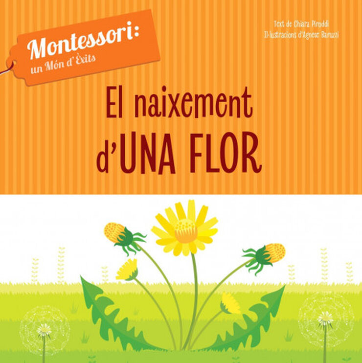 El naixement d'una flor