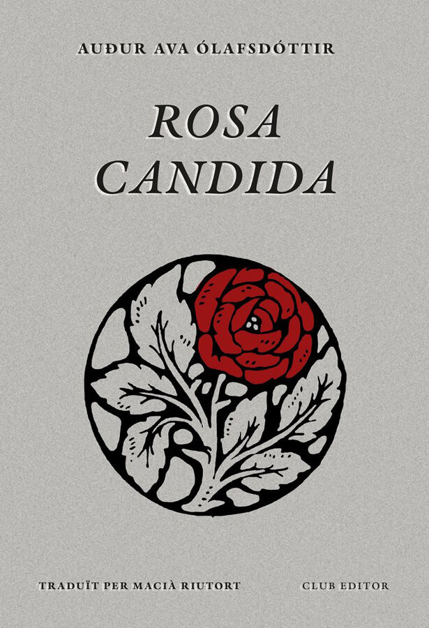 Rosa candida