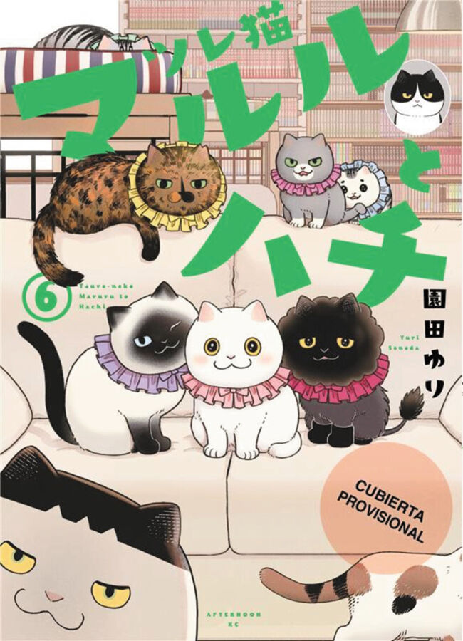 Los amigatos Hachi y Maruru, 6