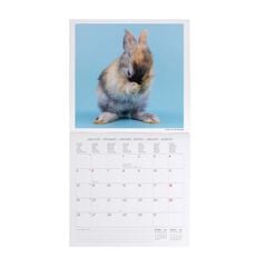 Calendario pared Legami 30x29cm 2026 Honey Bunny