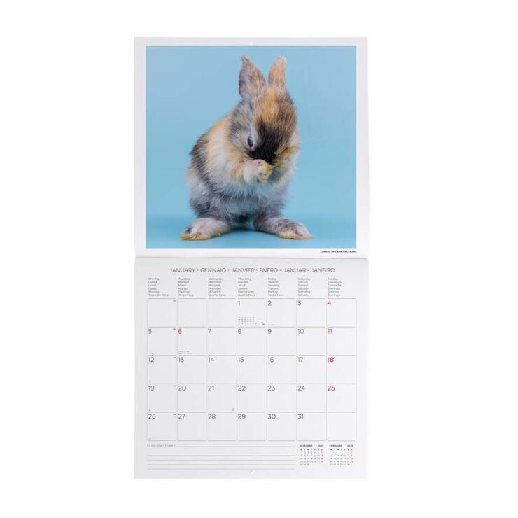 Calendario pared Legami 30x29cm 2026 Honey Bunny