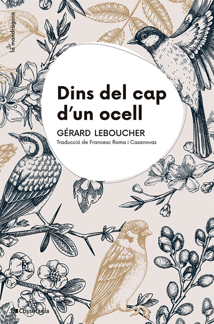 Dins del cap d'un ocell