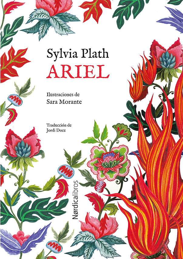 Ed. especial Ariel