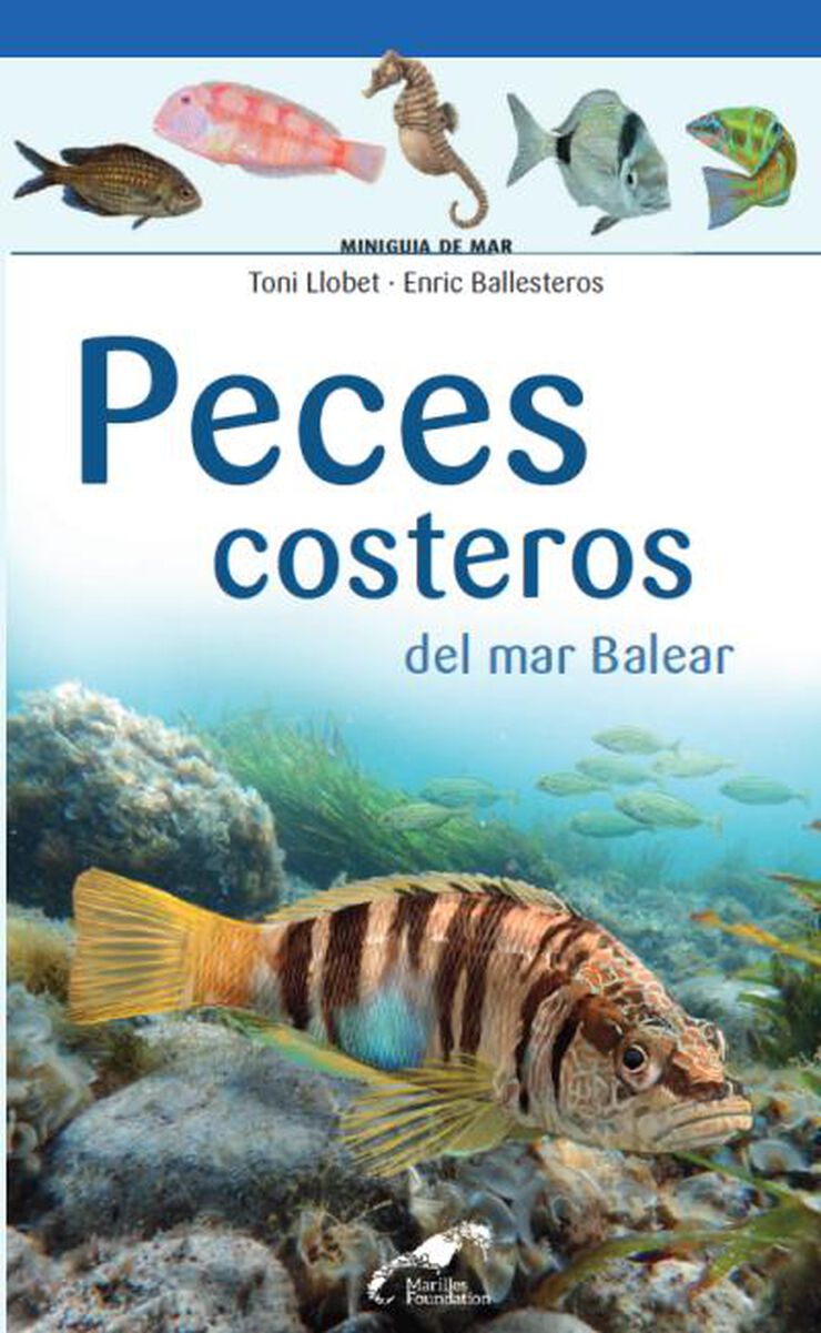 Peces costeros del mar balear