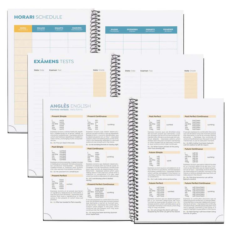 Agenda escolar Miquelrius Plus sem/vista cat 2025-26 Margarita