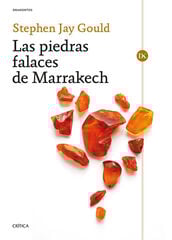 Las piedras falaces de Marrakech Las piedras falaces de Marrakech