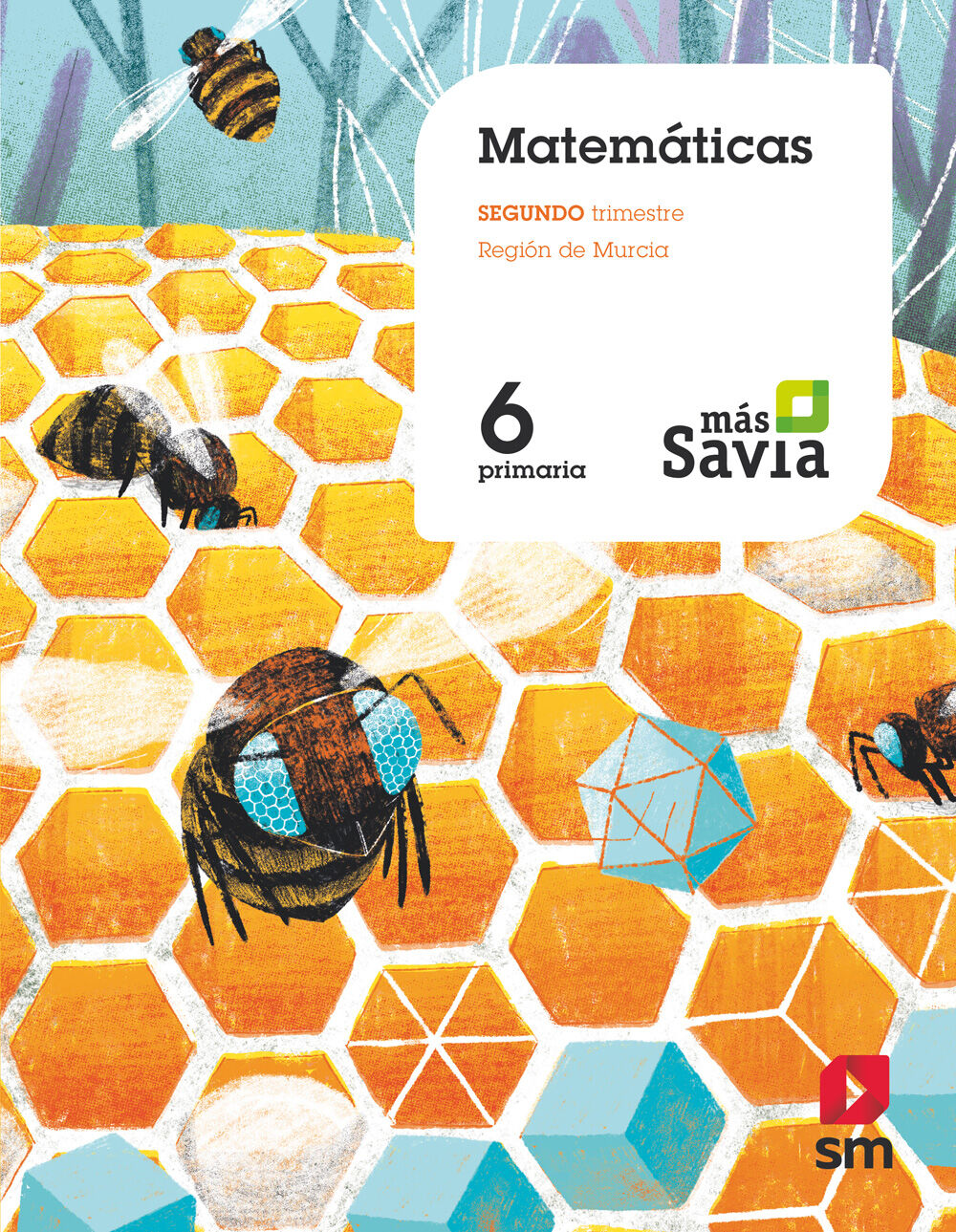 Ep 6 Matematicas ( Mur ) Mas Savia