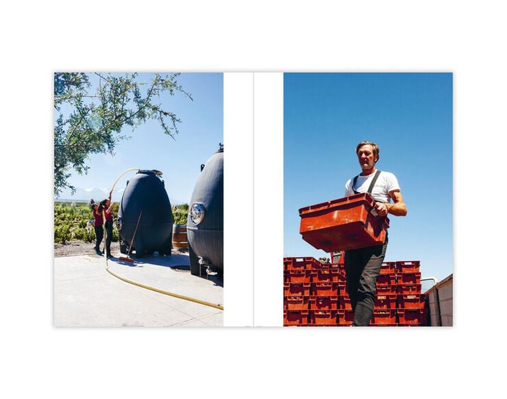 Cr&oacute;nicas del vino argentino