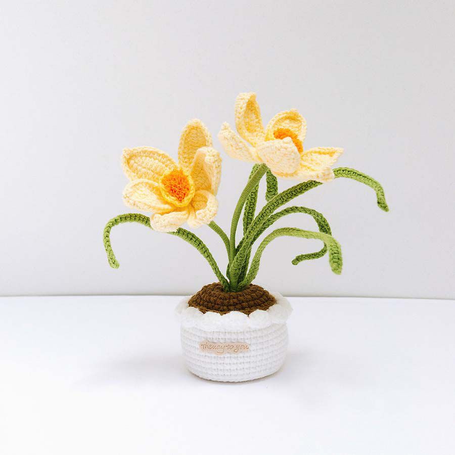 Planta de Ganchillo Narciso