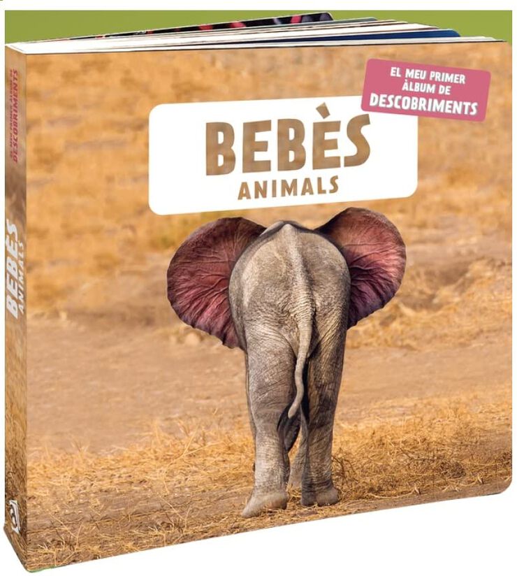 Bebès animals