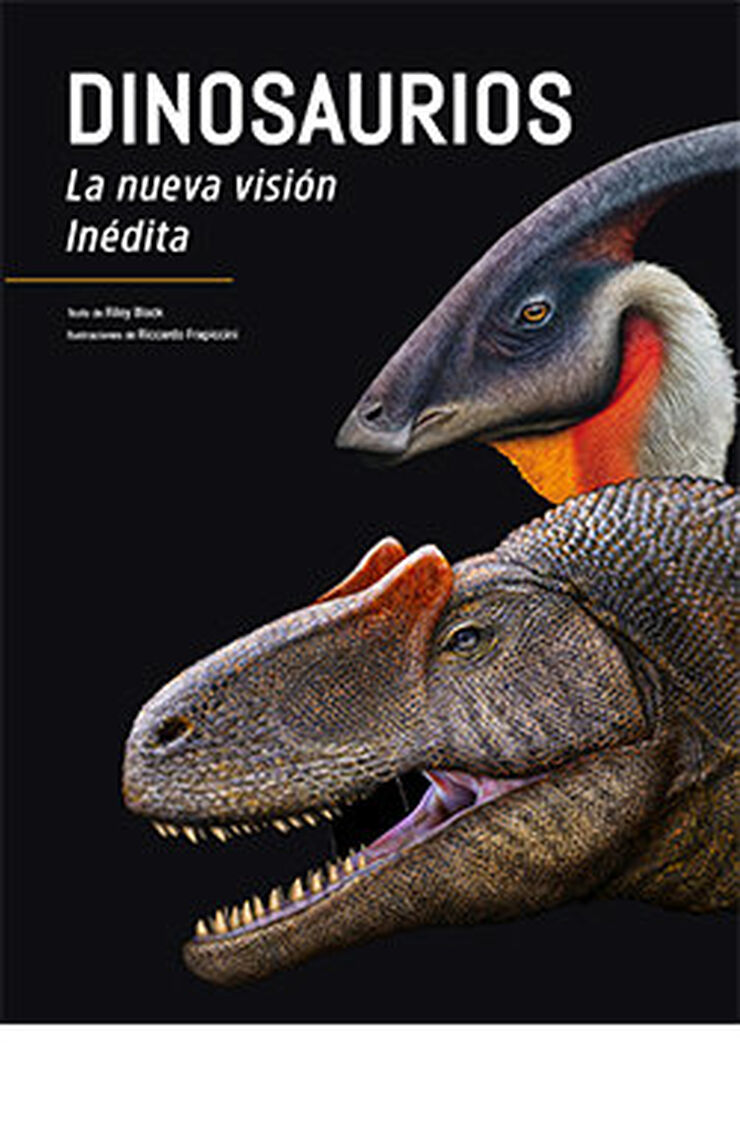 Dinosaurios Dinosaurios