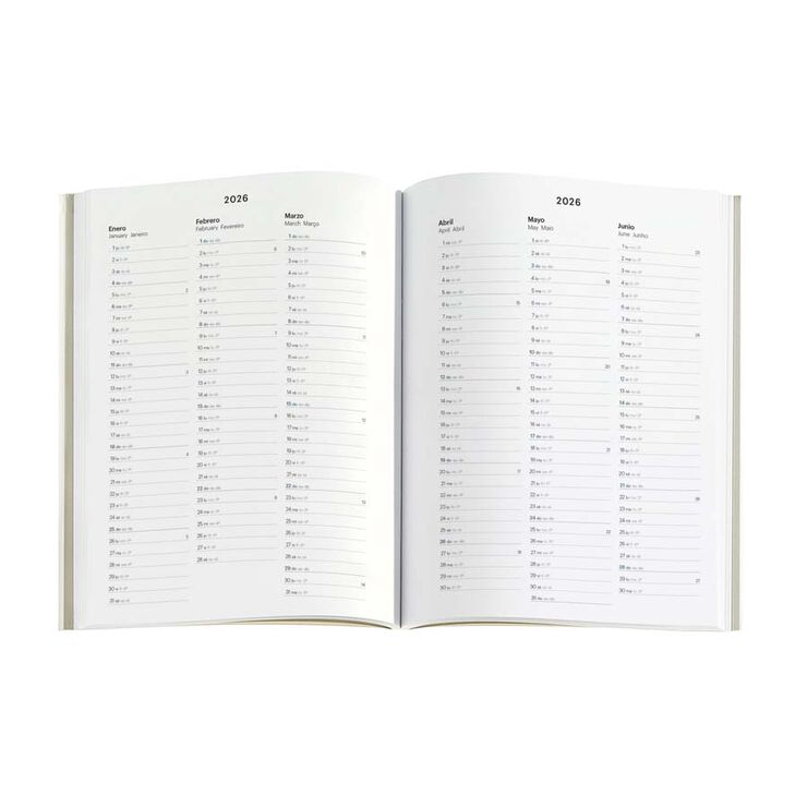 Agenda Miquelrius Plus 15x21 día/pág mult 2026 Basic gris