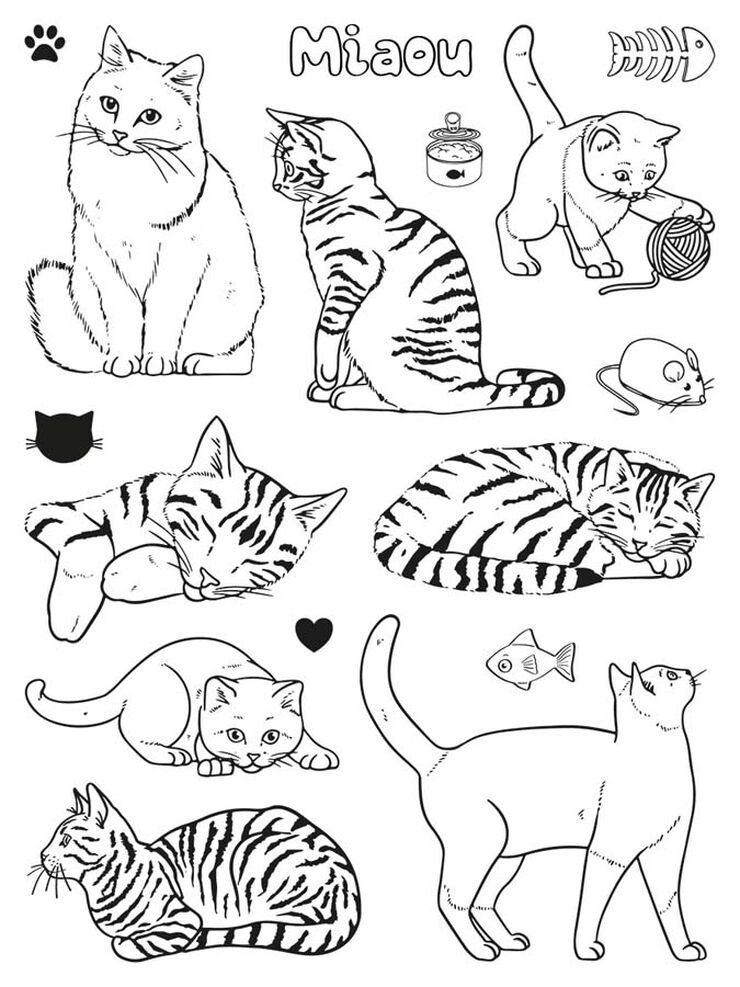 Creative Stamps Aladine Gatitos 16u