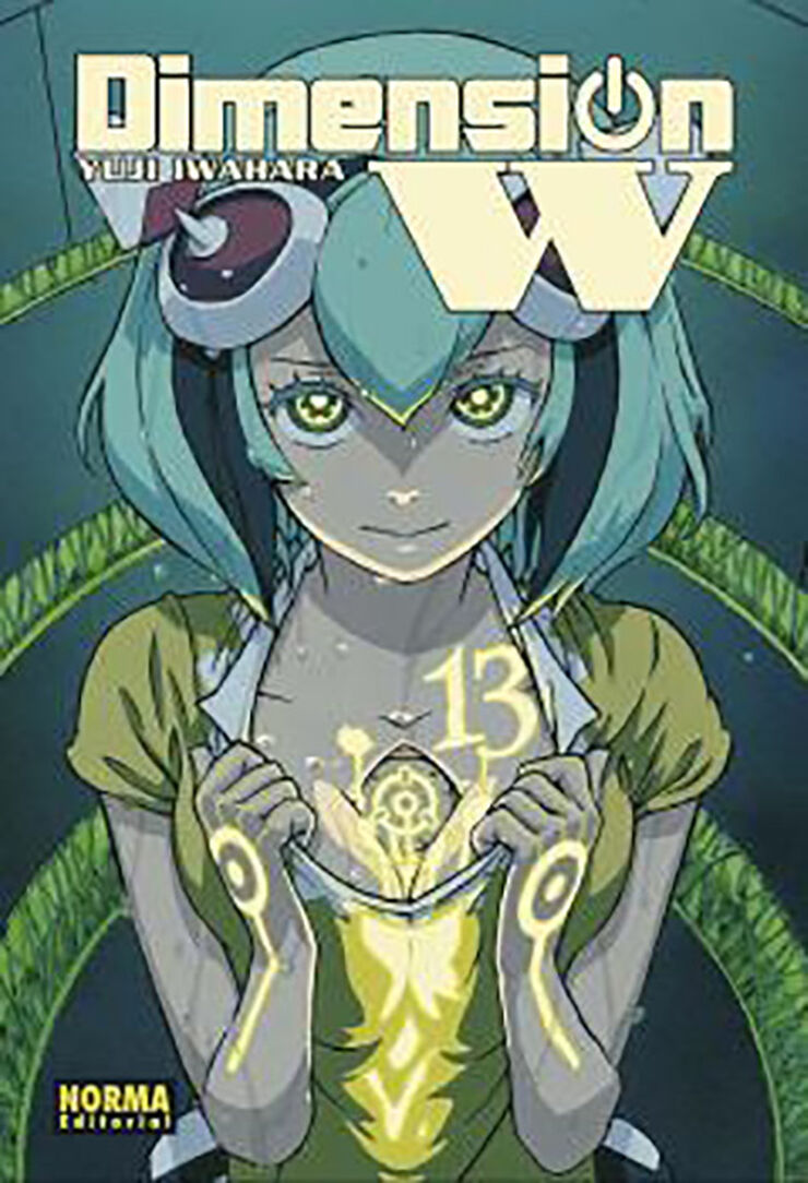 DIMENSION W 13