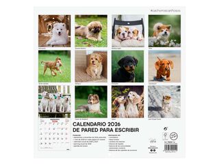Calendario pared Finocam 30x30 2026 Cachorros castellano