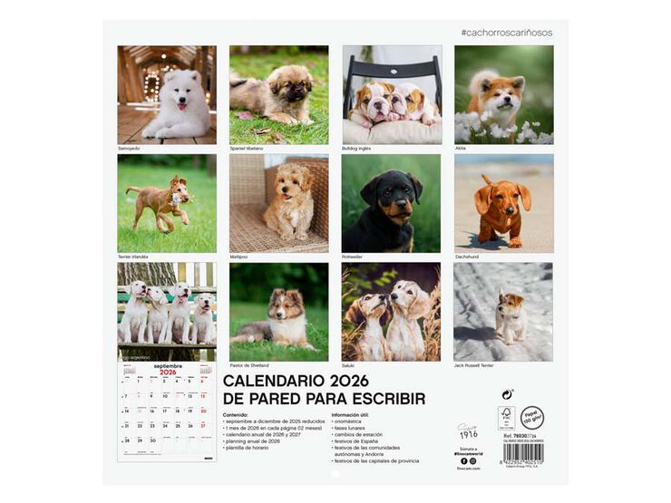 Calendario pared Finocam 30x30 2026 Cachorros castellano