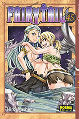 Fairy tail 45 Fairy tail 45