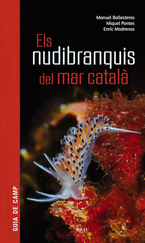 Els nudibranquis del mar catal&agrave;