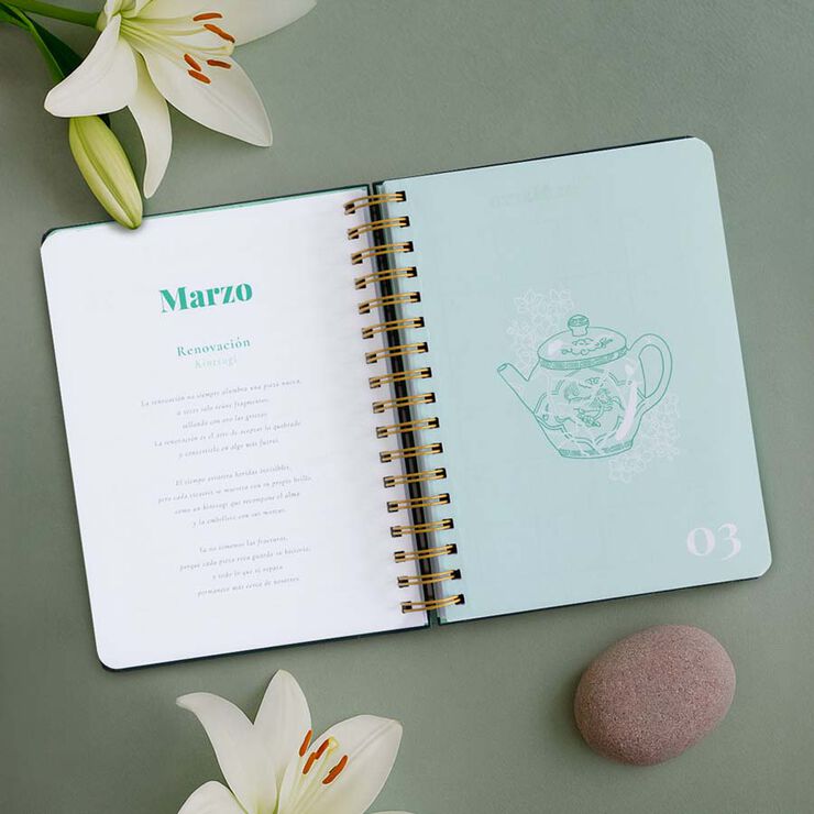 Agenda  Diccionario Vip castell&agrave; dia/p&agrave;g 2026