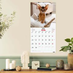 Calendari paret Finocam 30x30 2026 Gatets català
