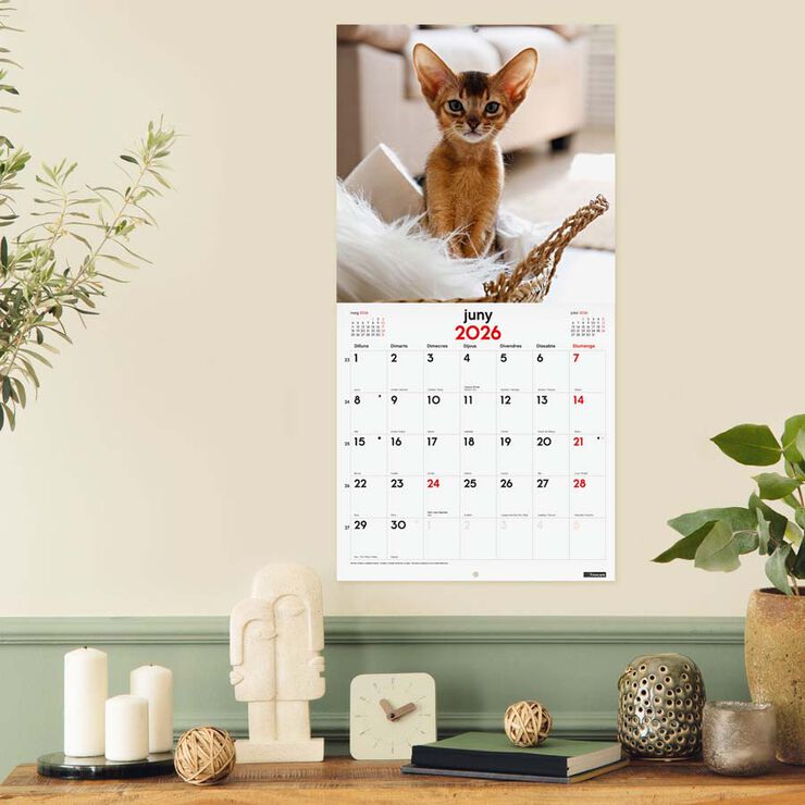 Calendari paret Finocam 30x30 2026 Gatets català