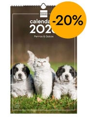 Calendario pared Finocam 25x40 2026 Gosso y Gatos castellano