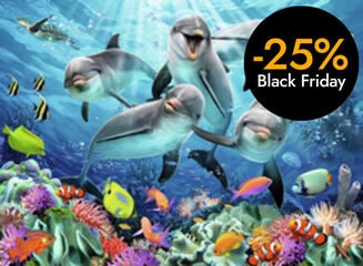 Puzle 500 peces Dofins