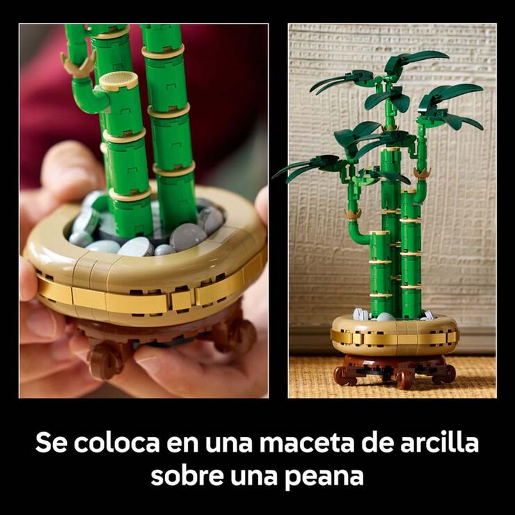 LEGO® Botanicals Bambú de la Suerte 10344