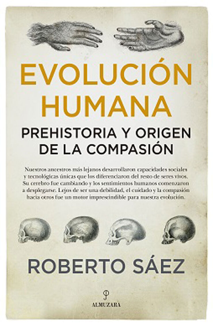 Evolución humana: Prehistoria y origen d
