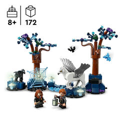 LEGO® Harry Potter TM Bosc Prohibit Criatures Màgiques 76432