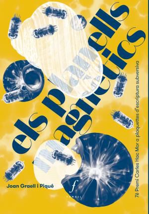 Els planells magn&egrave;tics