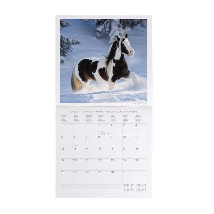 Calendari paret Legami 30x29cm 2026 Horses