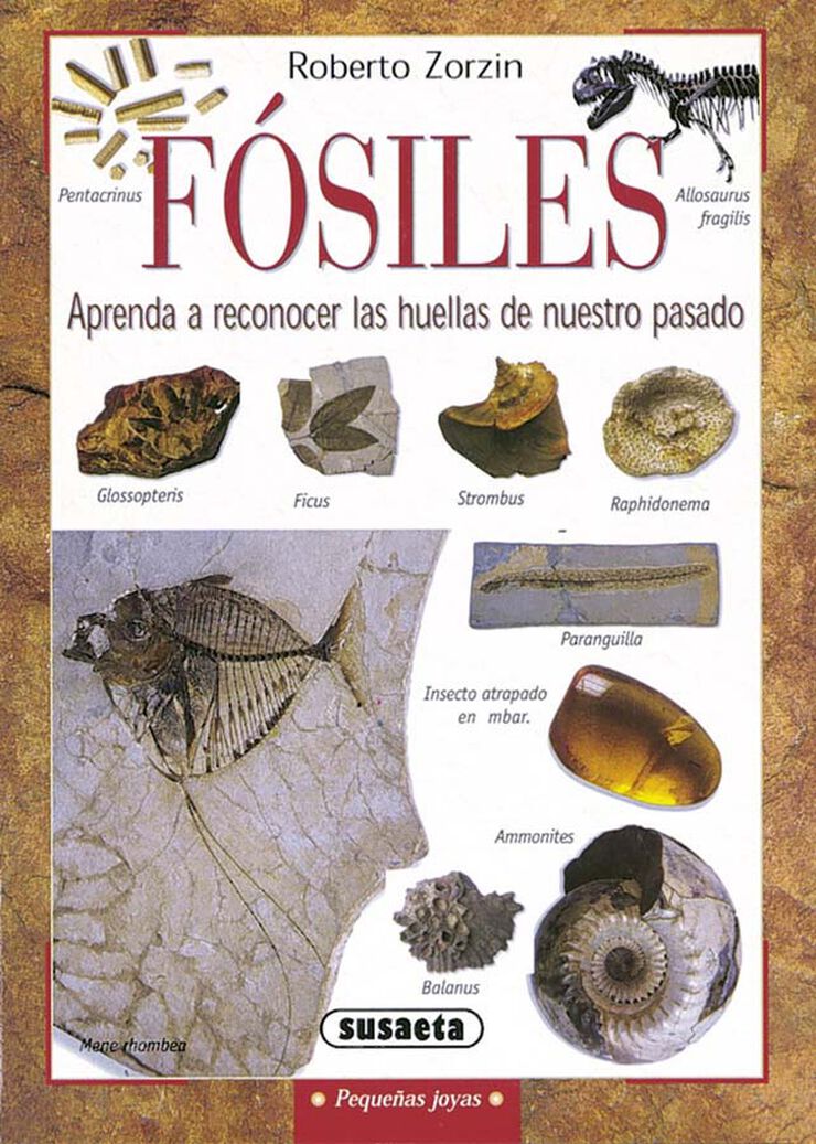 Fósiles