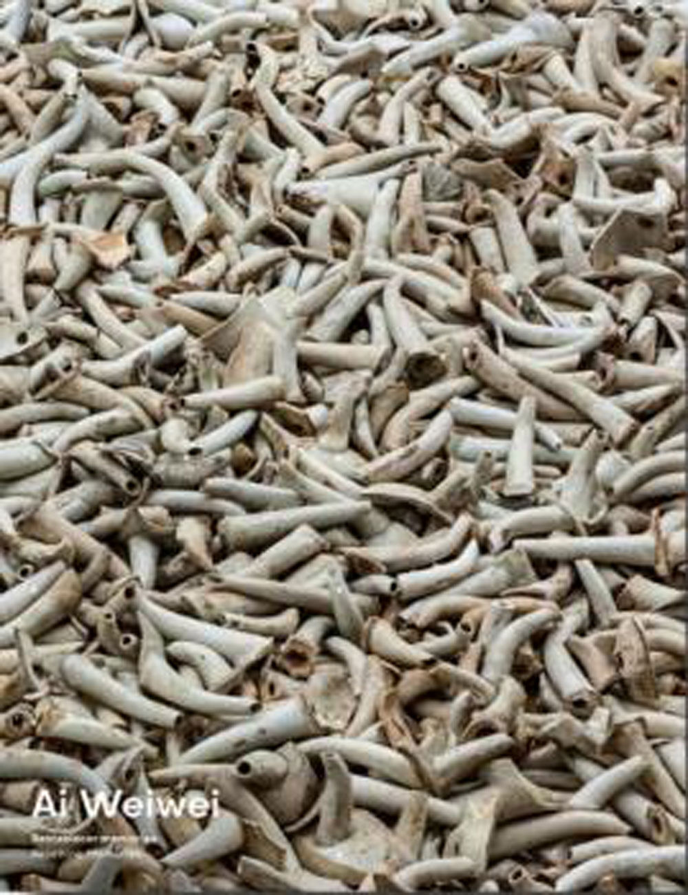 Ai Weiwei. Restableces memorias