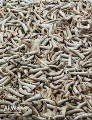 Ai Weiwei. Restableces memorias