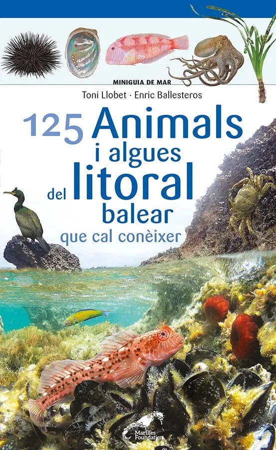 125 Animals i algues del litoral balear que cal con&egrave;ixer