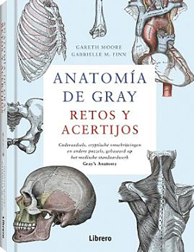 Anatomía de Gray. Retos y acertijos