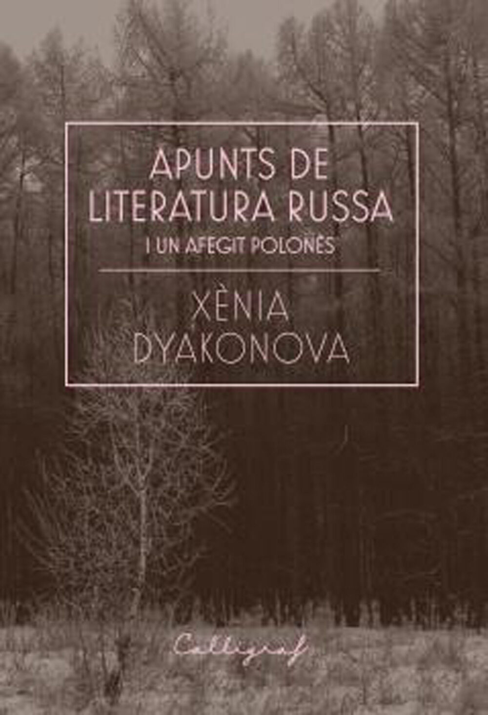Apunts de literatura russa i un afegit polon&egrave;s