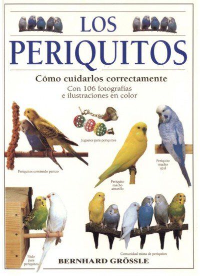 PERIQUITOS, LOS