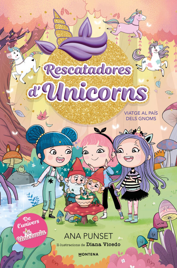 Rescatadores d'Unicorns 11 Viatge al Pa&iacute;s dels Gnoms
