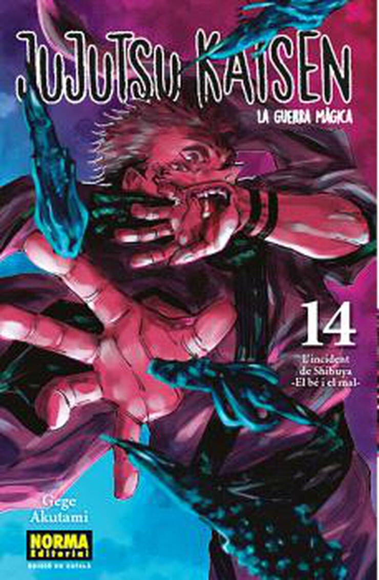 Jujutsu Kaisen 14 Català