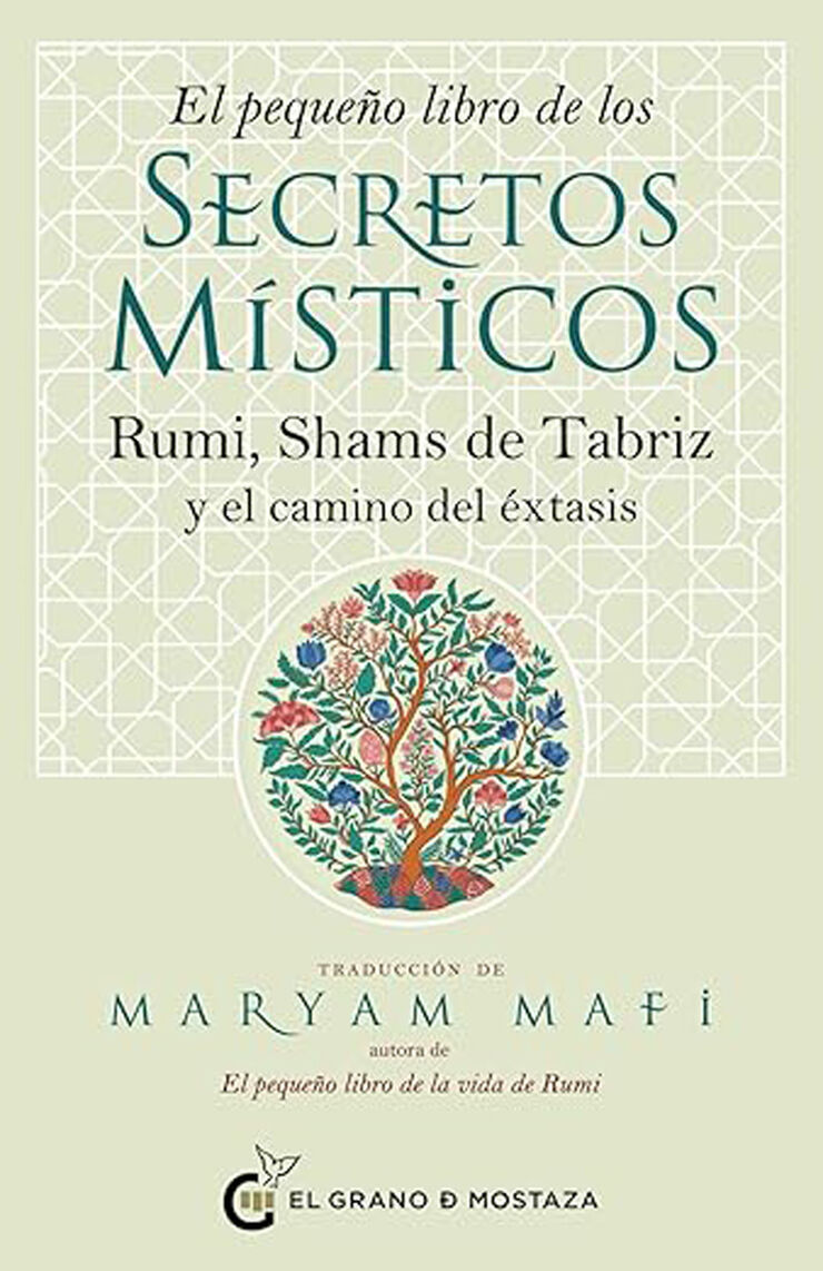 El pequeño libro de los secretos místicos