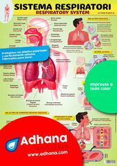 ADHAC 35X50 Sistema respiratori