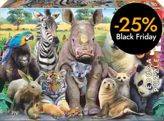 Puzle 300 piezas Foto de Classe